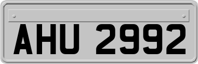 AHU2992