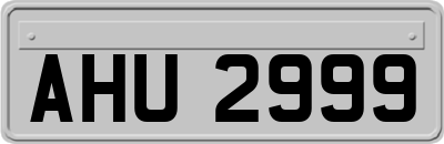 AHU2999