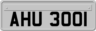 AHU3001