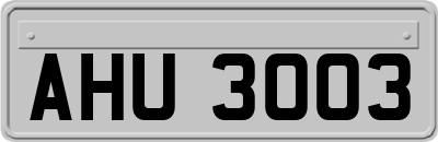 AHU3003