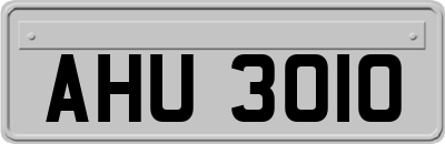 AHU3010