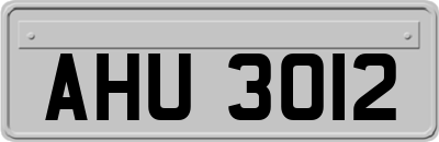 AHU3012