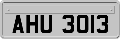 AHU3013