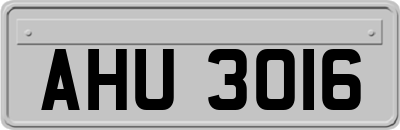 AHU3016
