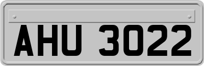 AHU3022