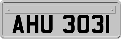 AHU3031