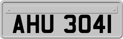 AHU3041