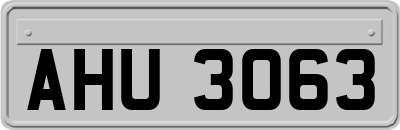 AHU3063