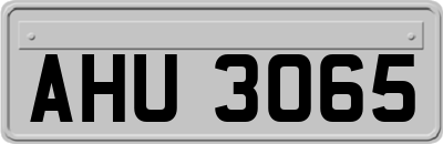 AHU3065