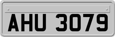 AHU3079
