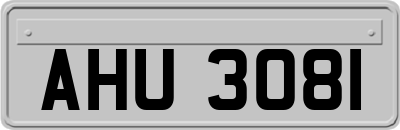 AHU3081