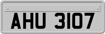 AHU3107