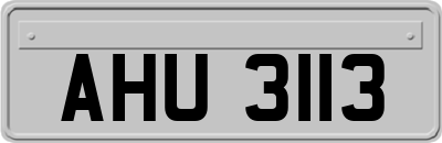 AHU3113