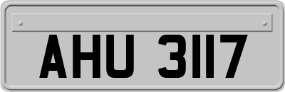 AHU3117