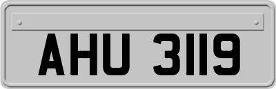 AHU3119