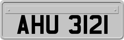 AHU3121