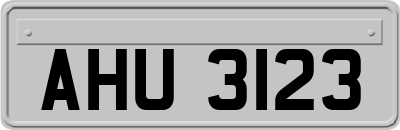 AHU3123