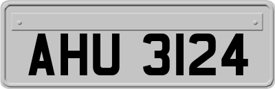 AHU3124