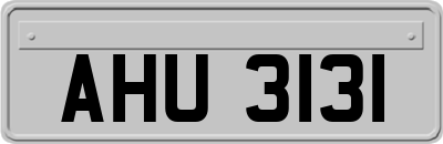 AHU3131