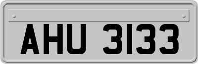 AHU3133