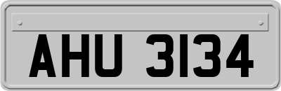 AHU3134
