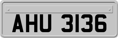 AHU3136