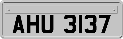 AHU3137