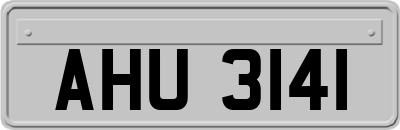 AHU3141