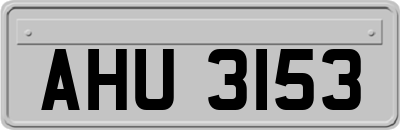 AHU3153