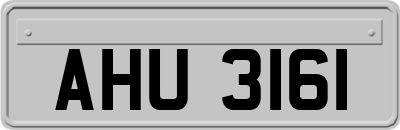 AHU3161