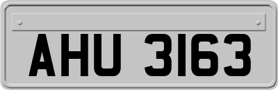 AHU3163