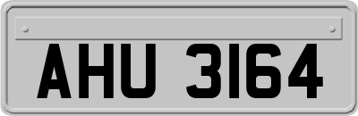 AHU3164