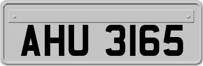 AHU3165