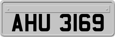 AHU3169