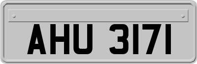 AHU3171