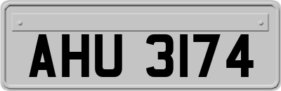 AHU3174