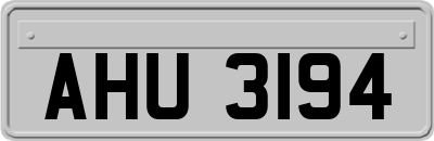 AHU3194