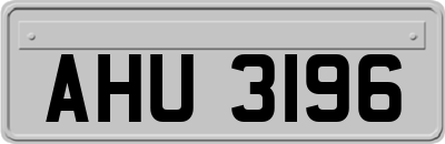 AHU3196