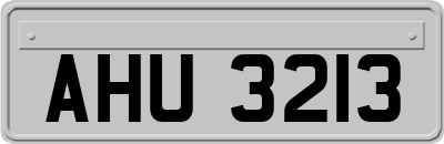 AHU3213