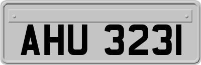 AHU3231