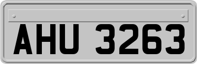 AHU3263