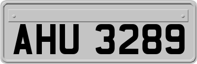 AHU3289