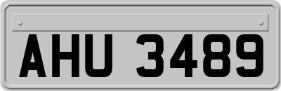 AHU3489