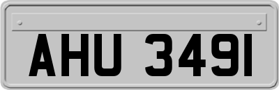 AHU3491