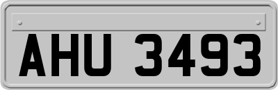 AHU3493