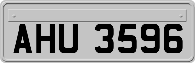 AHU3596