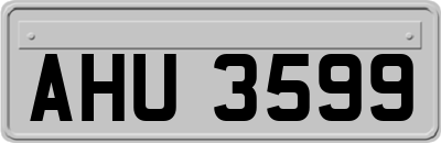 AHU3599