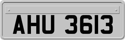 AHU3613