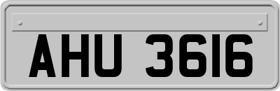 AHU3616