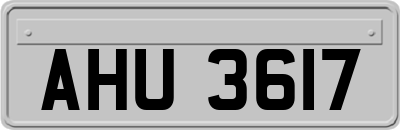 AHU3617